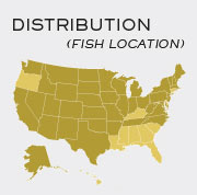 Pike Fish - Locations in United States