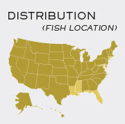 Rainbow Trout Fish - Locations in United States