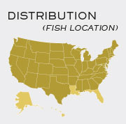 Smallmouth Bass Fish - Locations in United States