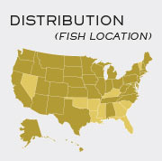 Yellow Perch Fish - Locations in United States
