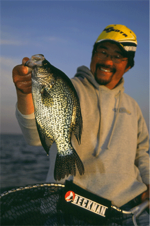 Although walleyes are plentiful, crappies are still abundant. Ted with a beautiful Red Lake Crappie.