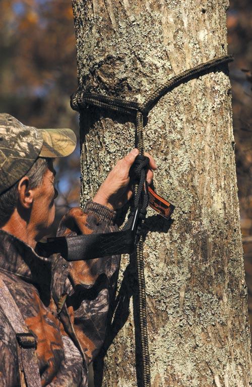 Tree Stand Safety