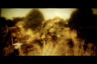 Episode 1 - Trails and Travel Corridors Video Clip