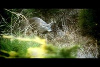 Episode 3 - Hunting the Wind Video Clip