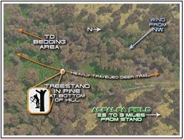 Analyzing the hunt helps views understand the techniques for hunting the Whitetail Deer