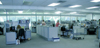 telesales 
area