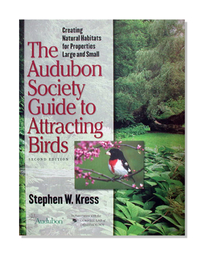 Attract More Songbirds to Your Property