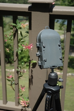 Positioning Your BirdCam for the Best Backyard Bird Photography