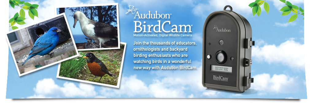 Wingscapes Audubon BirdCam