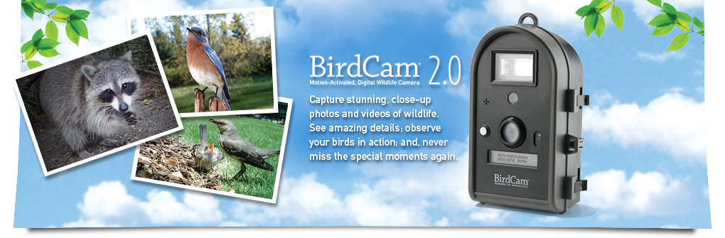 Wingscapes BirdCam 2.0