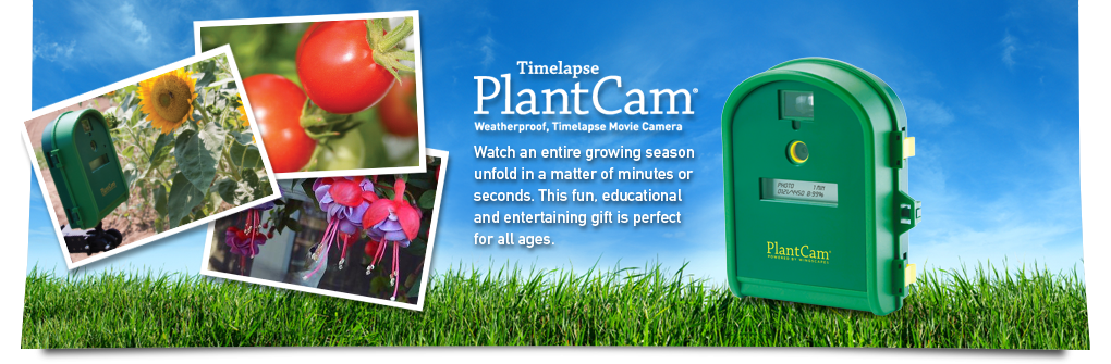 Wingscapes PlantCam