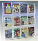 Clear Acrylic Plastic Wall Mount Magazine Rack - 12 Pockets