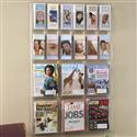 18 Pocket Classic Wall Literature Rack