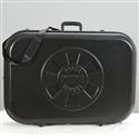 Mini Prize Wheel Travel Case