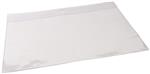 Large Clear Vinyl Envelope - P-BRSHR