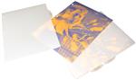 Translucent Screen Print (2)