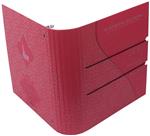Custom Designed Binder and Tabs - VIPMktg