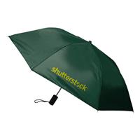 F737 Economy Auto Open Folding Umbrella