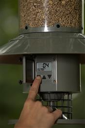 AutoFeeder