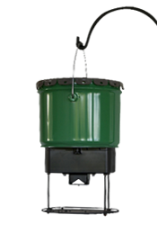 Everlasting Bird Feeder
