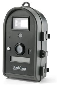 BirdCam 2.0