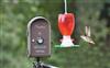 Audubon BirdCam