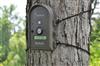 Audubon BirdCam