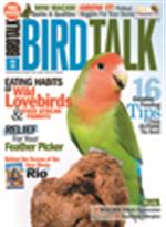 Bird Talk