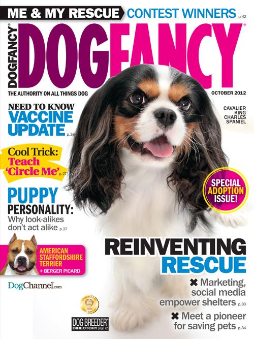 Dog Magazines