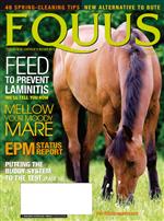 Equus