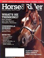 Horse & Rider