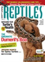 Reptiles