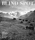 BLIND SPOT