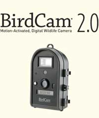 BirdCam 2.0